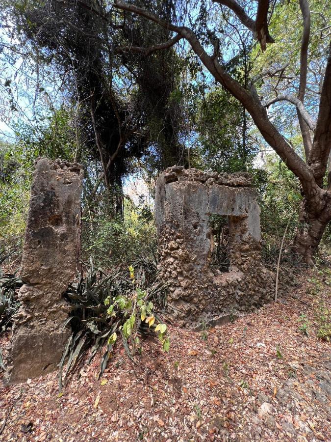 Chole Foxes Lodge Chole Island Exterior foto